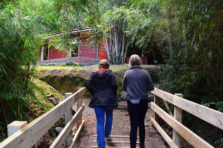 Fotografía 3 de Termas Aguas Calientes en Osorno, Los Lagos