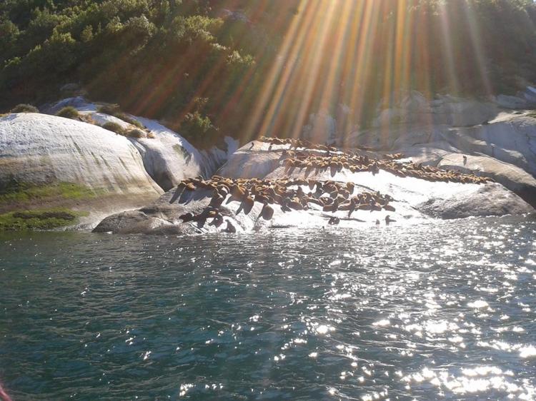 Fotografía 4 de Termas Sotomo en Cochamo, Los Lagos