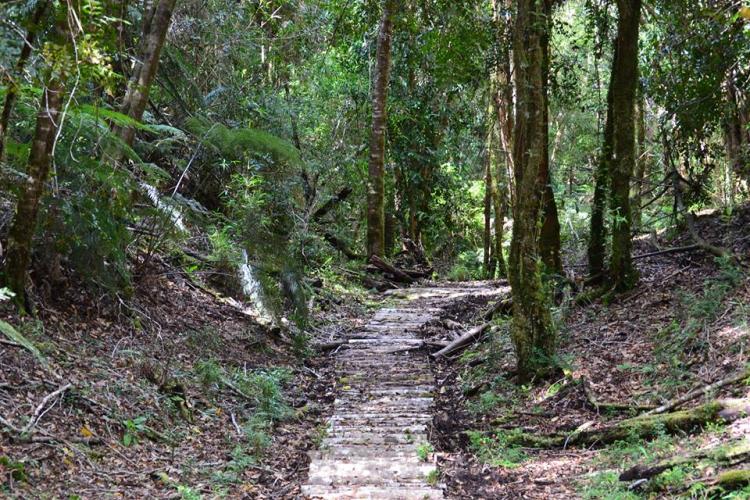 Fotografía 5 de Termas Sotomo en Cochamo, Los Lagos