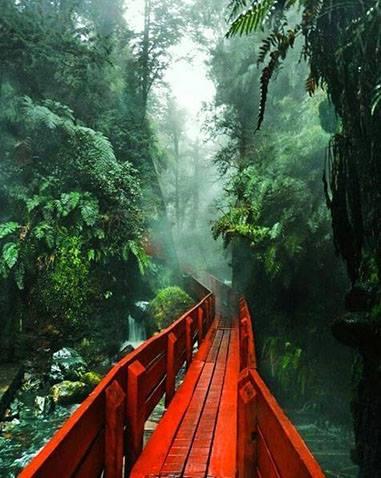 Fotografía 5 de Termas Geométricas en Panguipulli, Los Rios