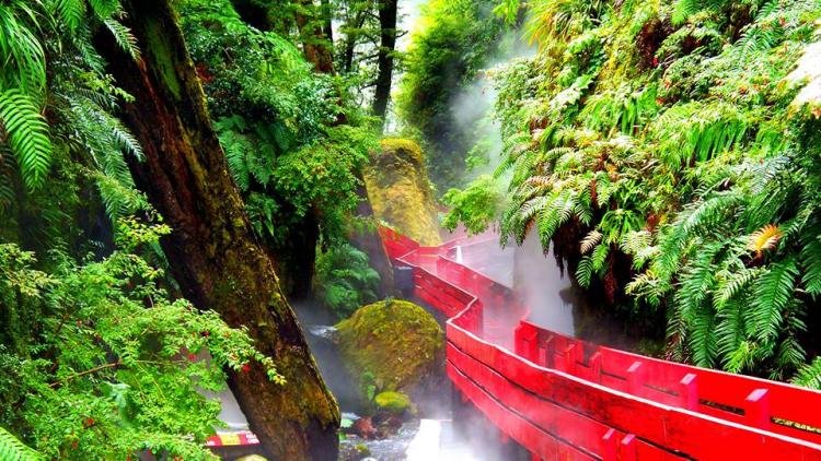 Fotografía 8 de Termas Geométricas en Panguipulli, Los Rios