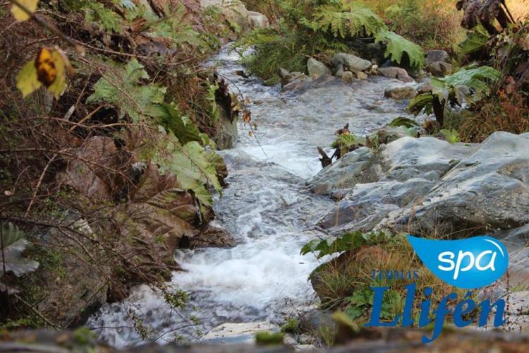 Fotografía 3 de Termas LLIFEN en Futrono, Los Rios