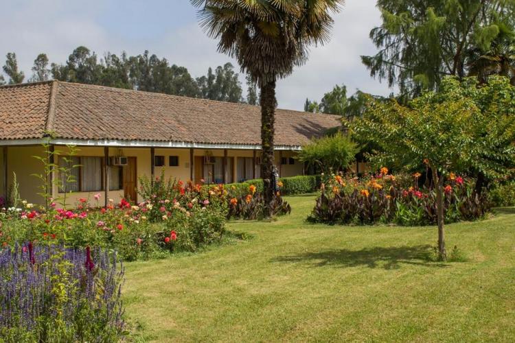 Fotografía 8 de Termas Quinamavida en Colbun, Maule