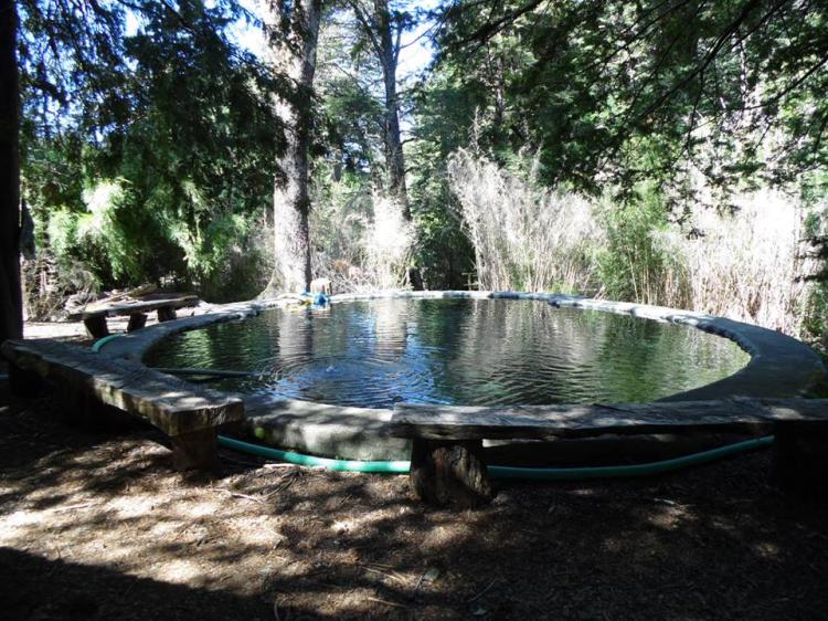 Fotografía 2 de Termas de Panqui en Curarrehue, Araucania