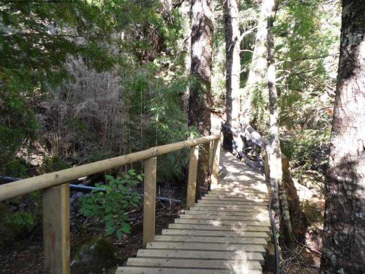 Fotografía 6 de Termas de Panqui en Curarrehue, Araucania