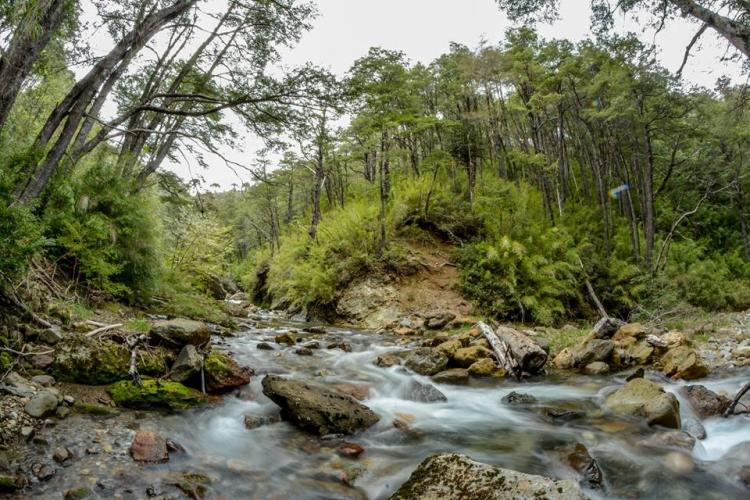Fotografía 15 de Termas de Malleco en Curacautin, Araucania