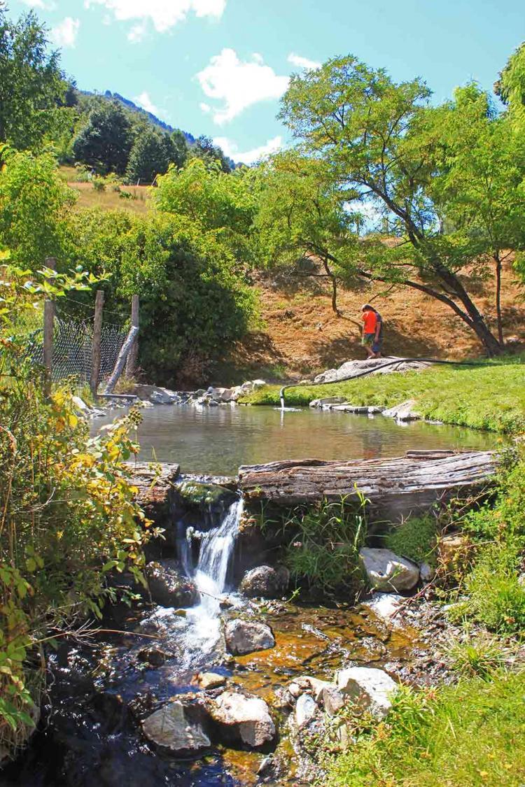 Fotografía 2 de Eco Termas de Río Blanco en Cunco, Araucania