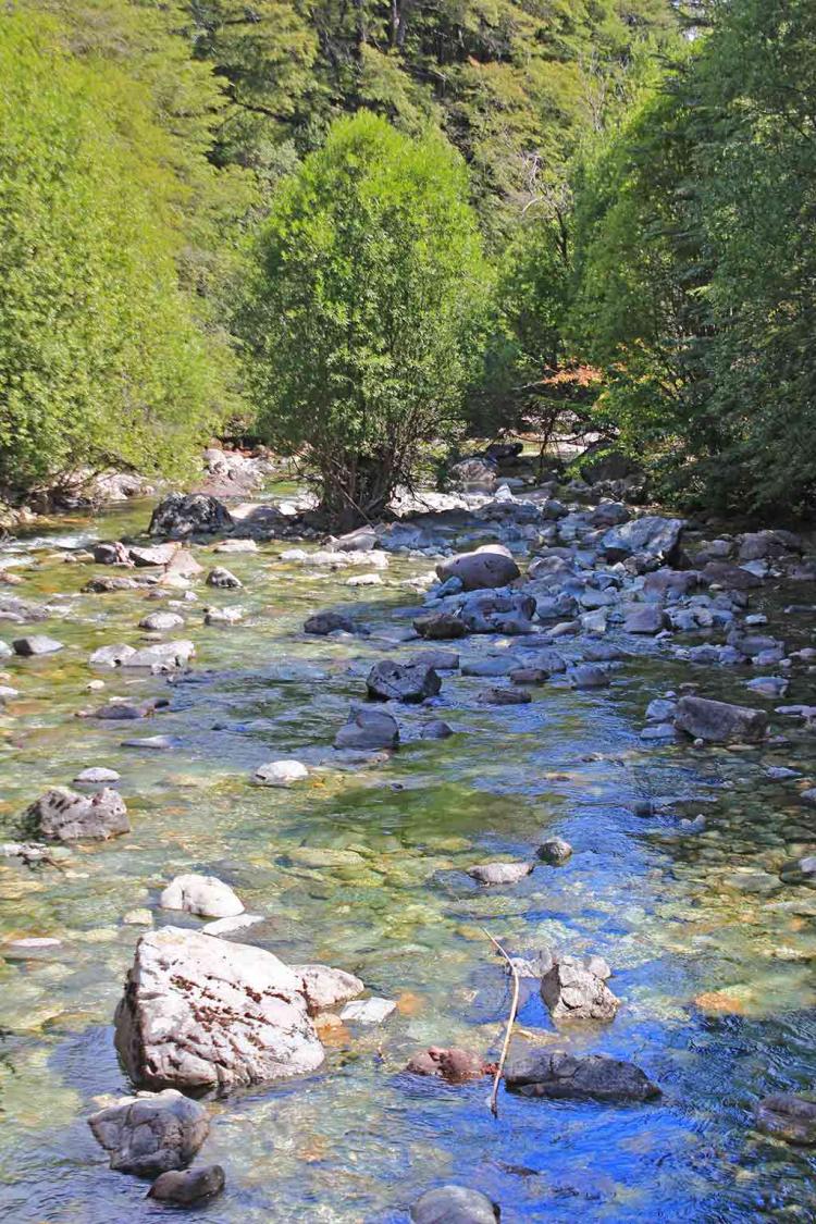 Fotografía 4 de Eco Termas de Río Blanco en Cunco, Araucania