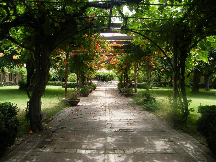 Fotografía 10 de Termas de Cauquenes en Machali, Ohiggins