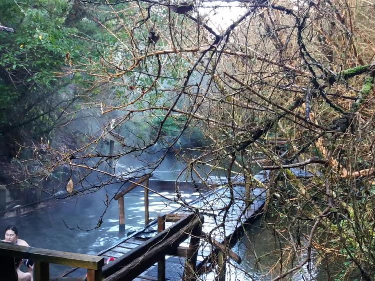 Fotografía 12 de Termas Naturales El Sauce en Cisnes, Aysen