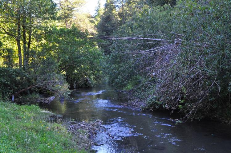 Fotografía 18 de Termas Río Hueico en Panguipulli, Los Rios